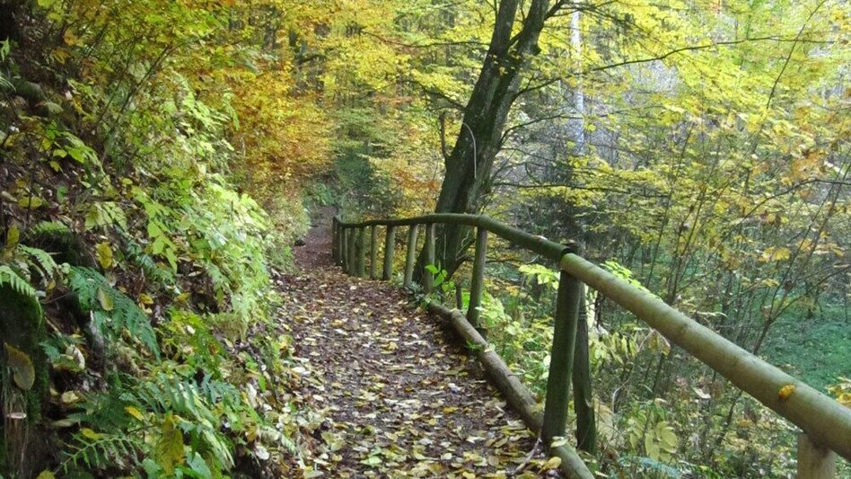 Jogging St. Ruprecht - adventure running course - Touren-Impression #2.1 | © Oststeiermark Tourismus