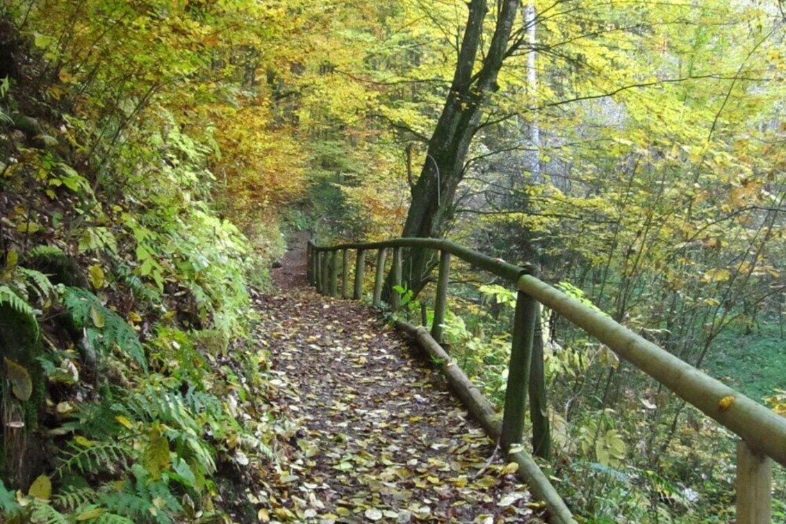 Jogging St. Ruprecht - adventure running course - Touren-Impression #1 | © Oststeiermark Tourismus