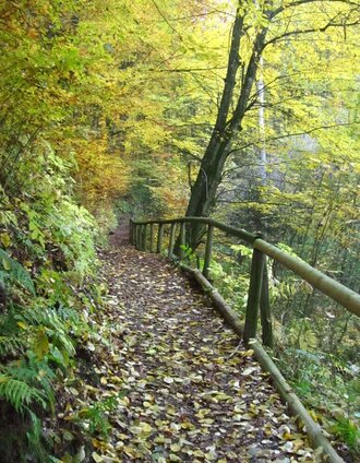 St. Ruprecht Erlebnislauf | © Oststeiermark Tourismus