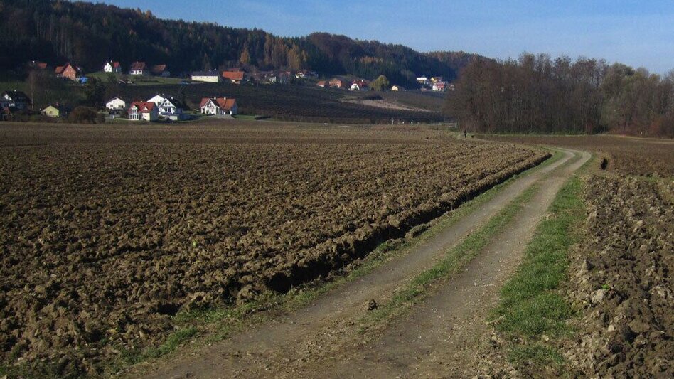 Jogging St. Ruprecht - Hobby running track - Touren-Impression #2.1 | © Oststeiermark Tourismus