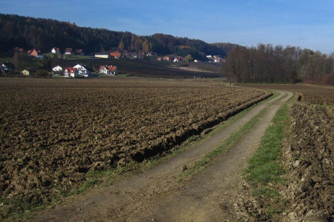 Jogging St. Ruprecht - Hobby running track - Touren-Impression #1 | © Oststeiermark Tourismus
