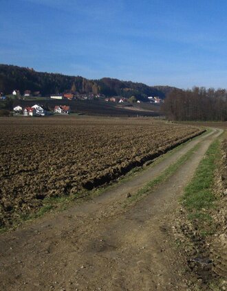 St. Ruprecht Hobbylauf | © Oststeiermark Tourismus