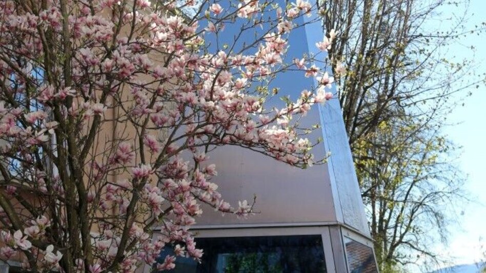 Jogging St. Ruprecht - Hobby running track - Touren-Impression #2.2 | © Oststeiermark Tourismus