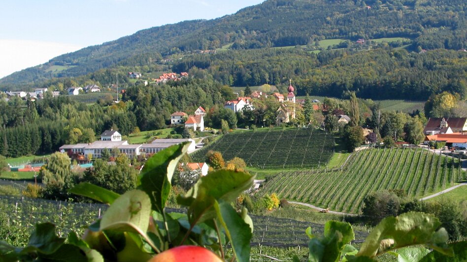 Motor Bike Styrian Apple Road " A journey to paradise" - Touren-Impression #2.1 | © Tourismusverband Oststeiermark