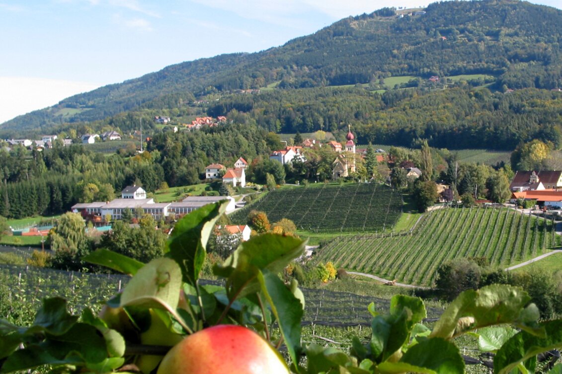 Motor Bike Styrian Apple Road " A journey to paradise" - Touren-Impression #1 | © Tourismusverband Oststeiermark