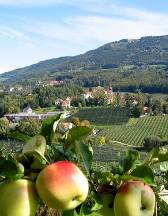 Apfelstraße | Walter Schneider | © Tourismusverband Oststeiermark