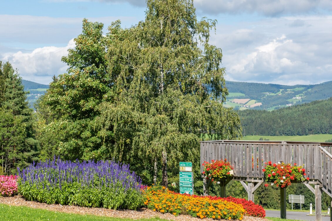 Pilgerweg Europa-Besinnungsweg - Touren-Impression #1 | © Oststeiermark Tourismus