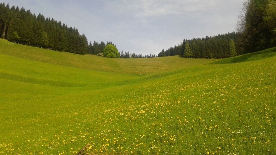 Wanderung Kapitel-Kurztour - Touren-Impression #2.2 | © Region Graz