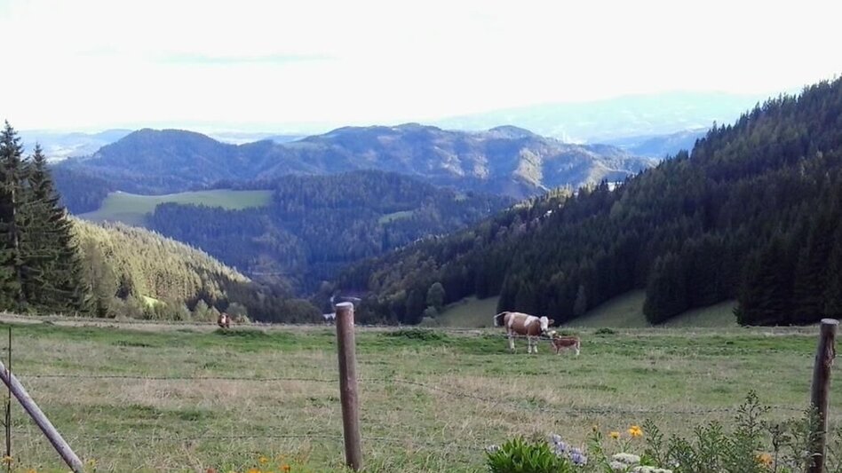 Wanderung Kapitel-Kurztour - Touren-Impression #2.3 | © Region Graz