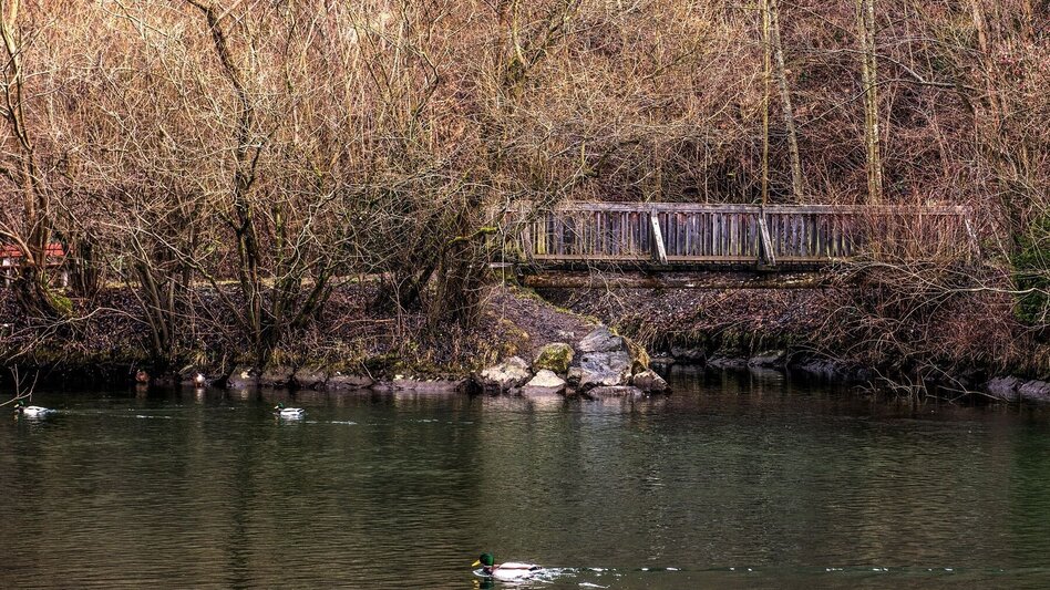 Jogging Bäckerei Fuchs Runde in der LACTOSAN-Sportarena Kapfenberg - Touren-Impression #2.2 | © PicWish Robert Tüchi