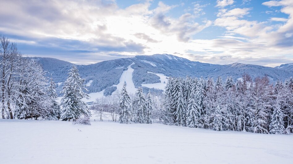 Schneeschuh Areal Schutzhaus - Touren-Impression #2.1 | © Tourismusverband Murau
