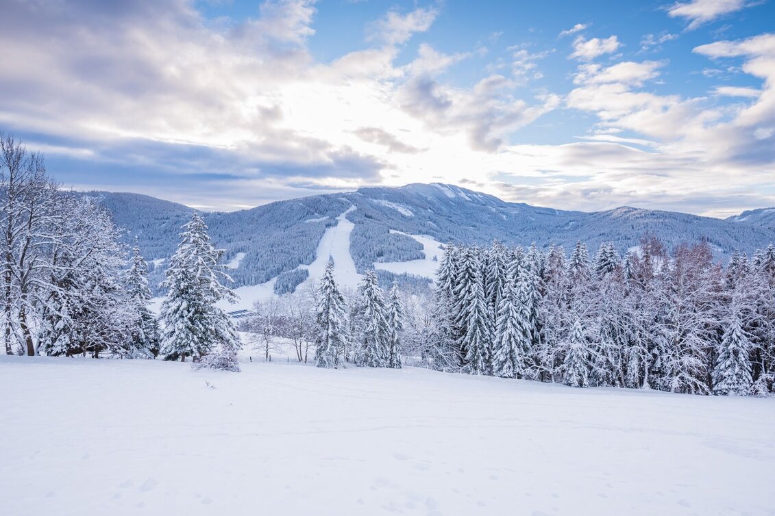 Schneeschuh Areal Schutzhaus - Touren-Impression #1 | © Tourismusverband Murau