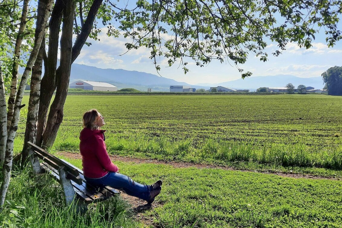 Themen- und Lehrpfad Natur-Historien-Lehrpfad in Fohnsdorf - Touren-Impression #1 | © Weges OG