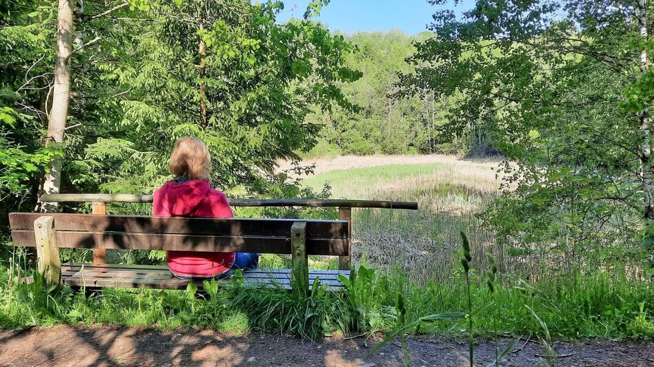 Themen- und Lehrpfad Natur-Historien-Lehrpfad in Fohnsdorf - Touren-Impression #2.12 | © Weges OG