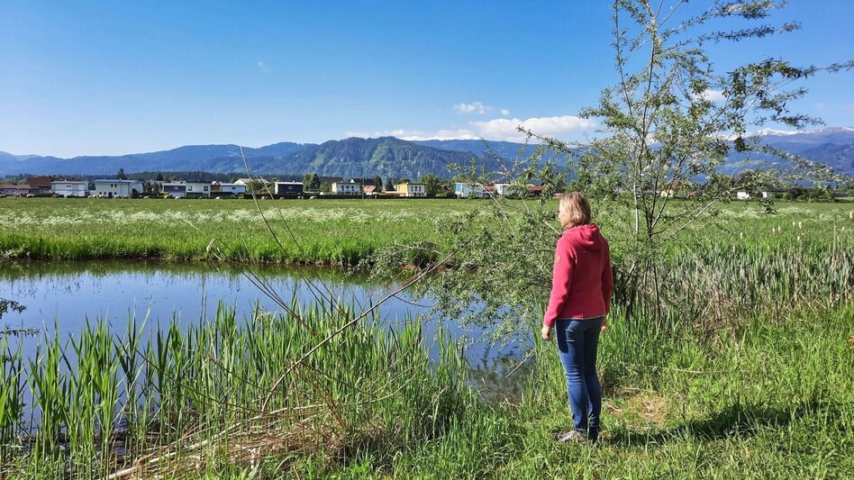 Themen- und Lehrpfad Natur-Historien-Lehrpfad in Fohnsdorf - Touren-Impression #2.13 | © Weges OG
