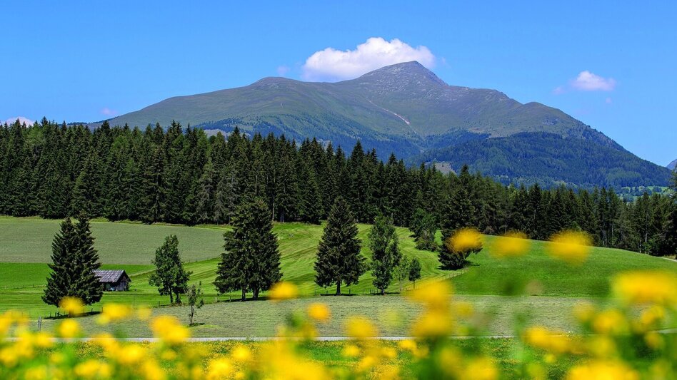 Mountain Hike Greim over Eselsberg - Touren-Impression #2.2 | © Tourismusverband Murau