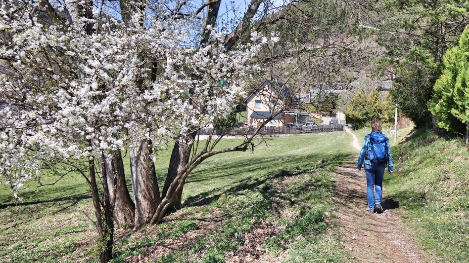 Hiking route Fohnsdorfer Hütte via Stoxreiter - Touren-Impression #2.2 | © Weges OG