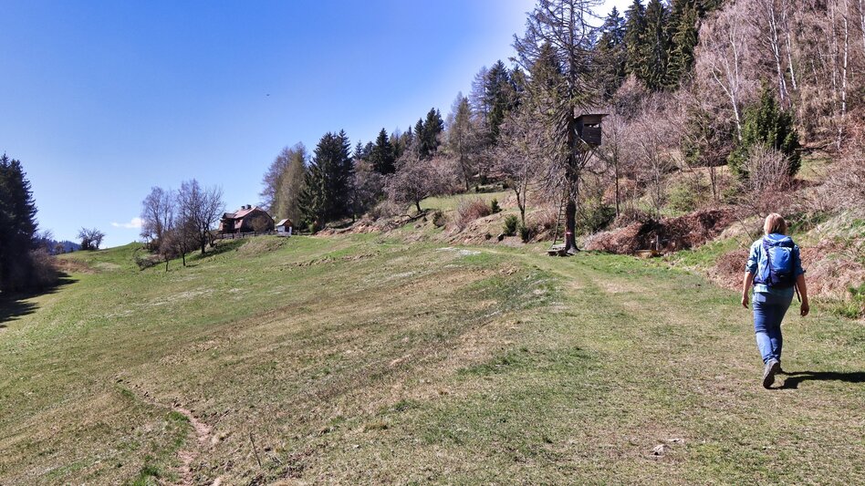 Hiking route Fohnsdorfer Hütte via Stoxreiter - Touren-Impression #2.4 | © Weges OG