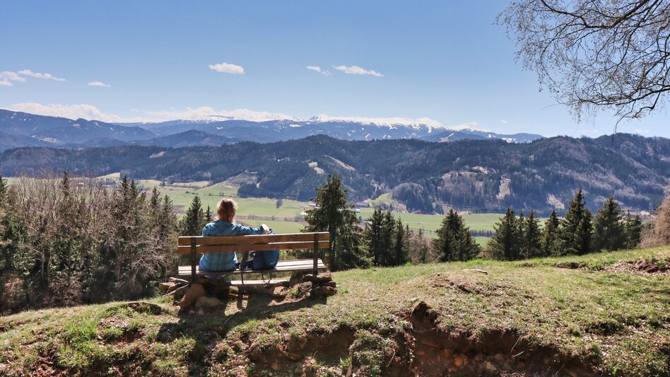 Hiking route Fohnsdorfer Hütte via Stoxreiter - Touren-Impression #2.5 | © Weges OG