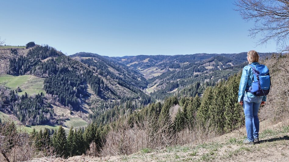 Hiking route Fohnsdorfer Hütte via Stoxreiter - Touren-Impression #2.7 | © Weges OG