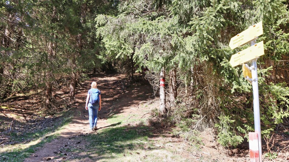 Hiking route Fohnsdorfer Hütte via Stoxreiter - Touren-Impression #2.8 | © Weges OG