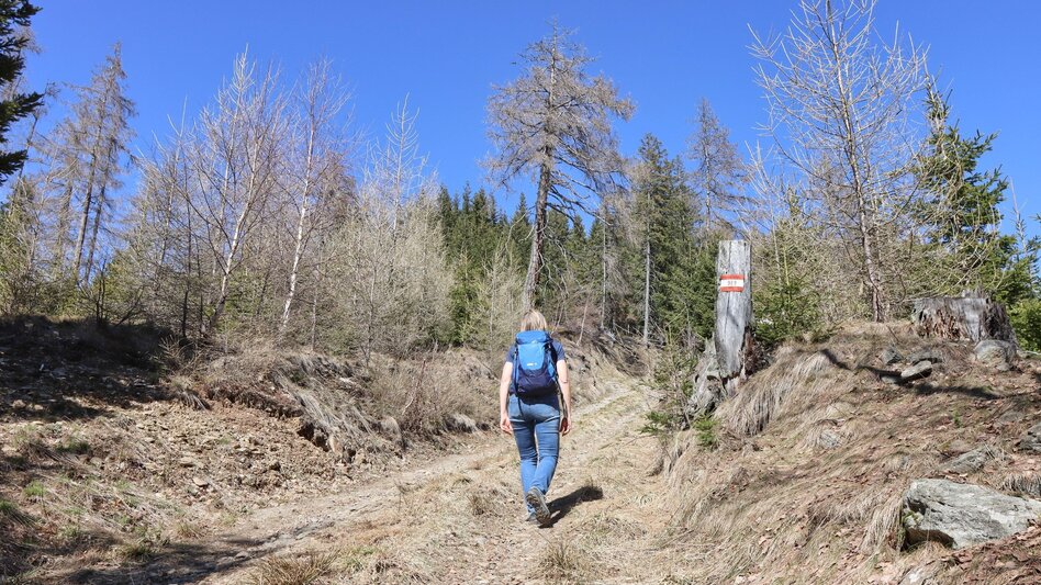 Hiking route Fohnsdorfer Hütte via Stoxreiter - Touren-Impression #2.10 | © Weges OG