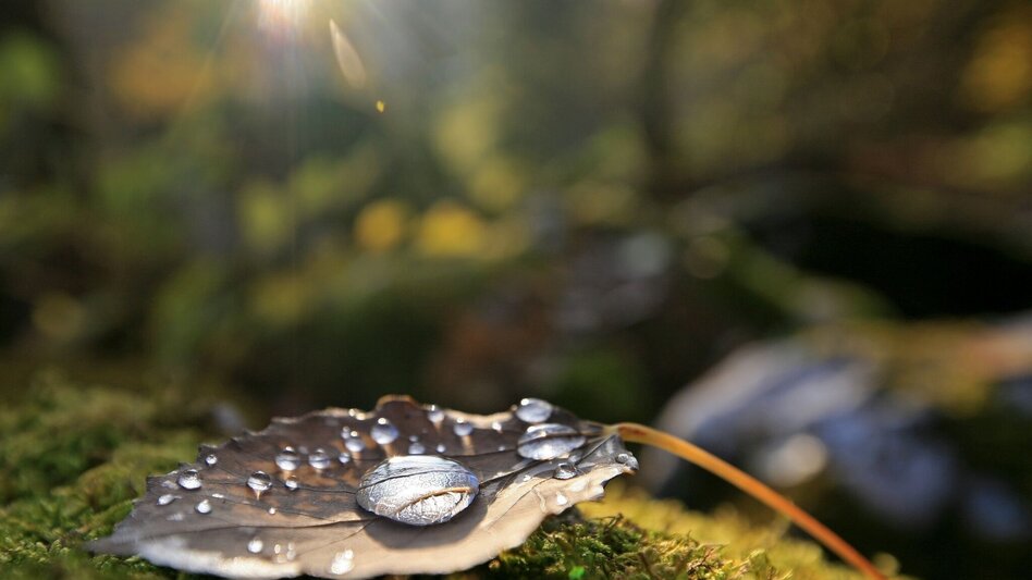 Hiking route Hasensattel - Heavenly place 5 - Touren-Impression #2.7 | © Erlebnisregion Murtal