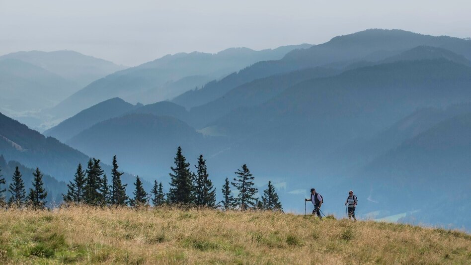 Wanderung Rosenkogel-Runde  vom Sommertörl - Touren-Impression #2.6 | © Erlebnisregion Murtal