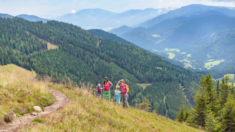 Wanderung Rosenkogel-Runde  vom Sommertörl - Touren-Impression #2.8 | © Erlebnisregion Murtal