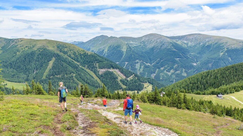 Wanderung Rosenkogel-Runde  vom Sommertörl - Touren-Impression #2.9 | © Erlebnisregion Murtal
