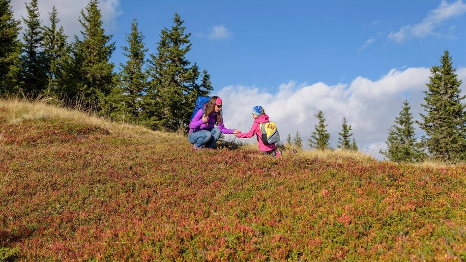 Wanderung Rosenkogel-Runde  vom Sommertörl - Touren-Impression #2.10 | © Erlebnisregion Murtal