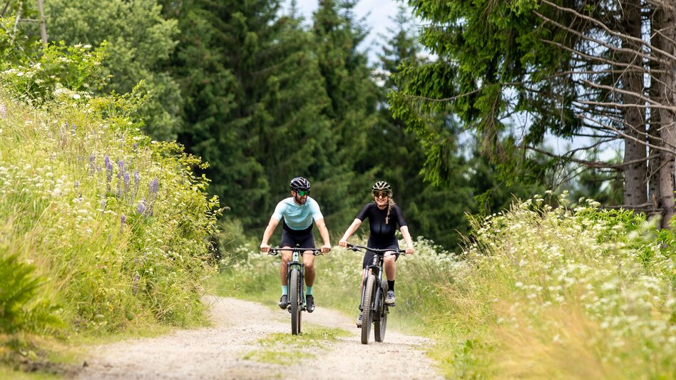 Mountainbike Tour H2 -MTB - Triebensteinrunde - Touren-Impression #2.5 | © Erlebnisregion Murtal