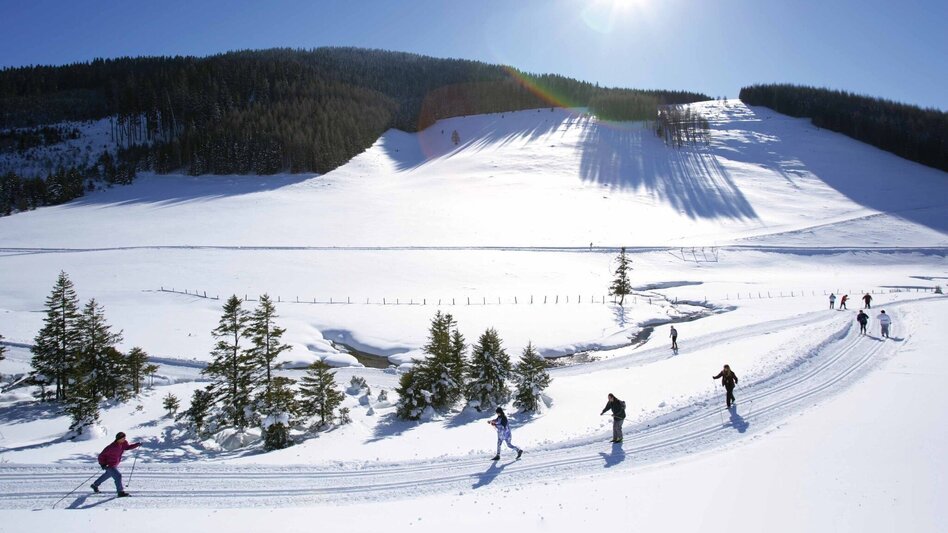 Langlauf Skating Sommeralm-Loipe, Sommeralm - Touren-Impression #2.1 | © TVB Oststeiermark