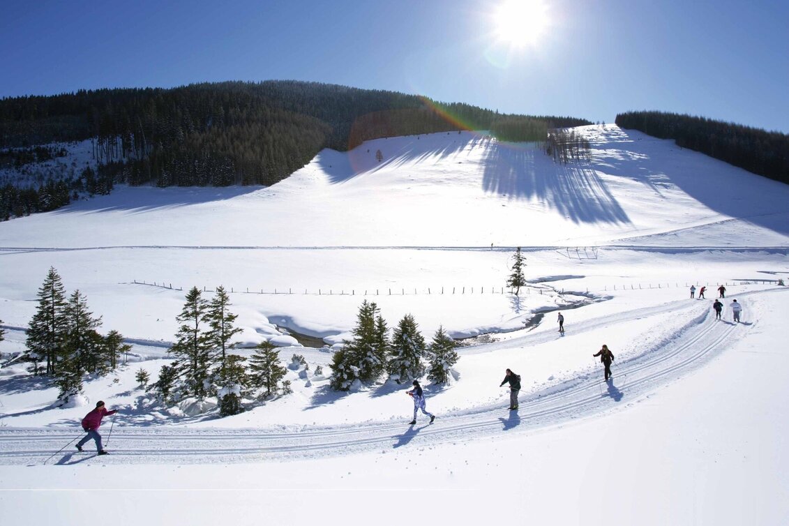 Langlauf Skating Sommeralm-Loipe, Sommeralm - Touren-Impression #1 | © TVB Oststeiermark