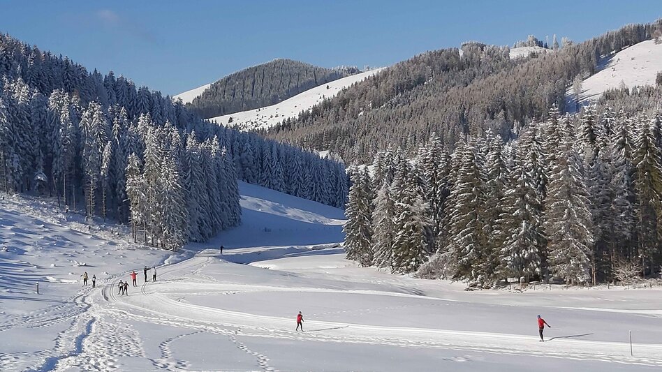 Langlauf Skating Sommeralm-Loipe, Sommeralm - Touren-Impression #2.3 | © Oststeiermark Tourismus