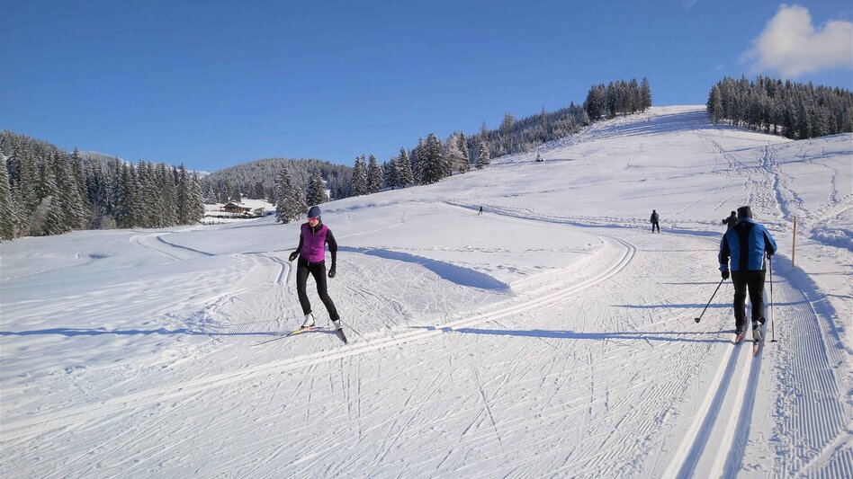 Langlauf Skating Sommeralm-Loipe, Sommeralm - Touren-Impression #2.4 | © Oststeiermark Tourismus