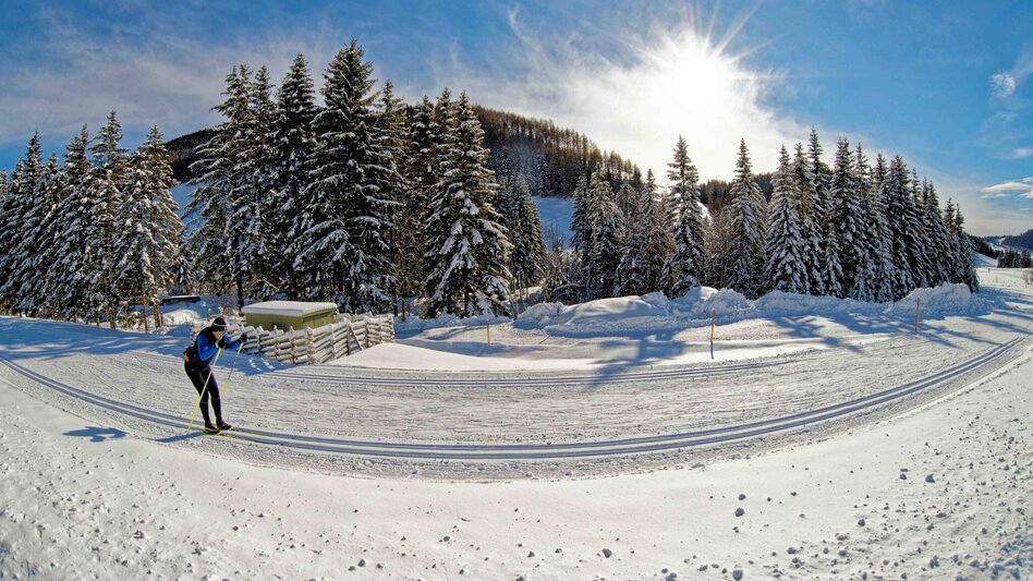 Langlauf Skating Sommeralm-Loipe, Sommeralm - Touren-Impression #2.5 | © Oststeiermark Tourismus