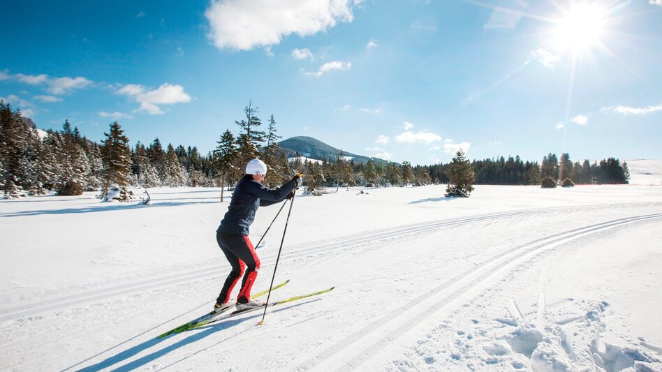 Ski nordic skating Hochmoor cross-country ski trail, Teichalm, Almenland - Touren-Impression #2.2 | © Oststeiermark Tourismus