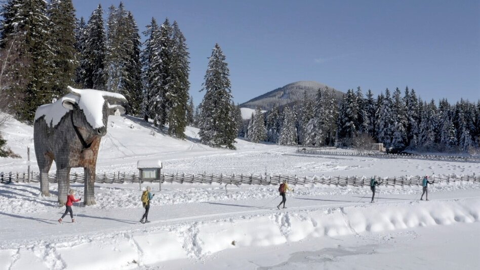 Ski nordic skating Hochmoor cross-country ski trail, Teichalm, Almenland - Touren-Impression #2.4 | © Oststeiermark Tourismus