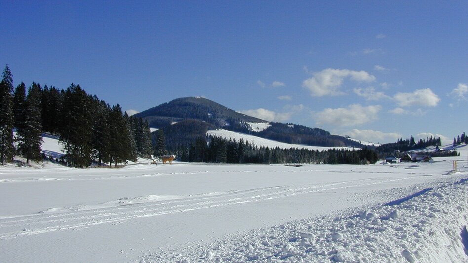 Ski nordic skating Hochmoor cross-country ski trail, Teichalm, Almenland - Touren-Impression #2.5 | © Oststeiermark Tourismus
