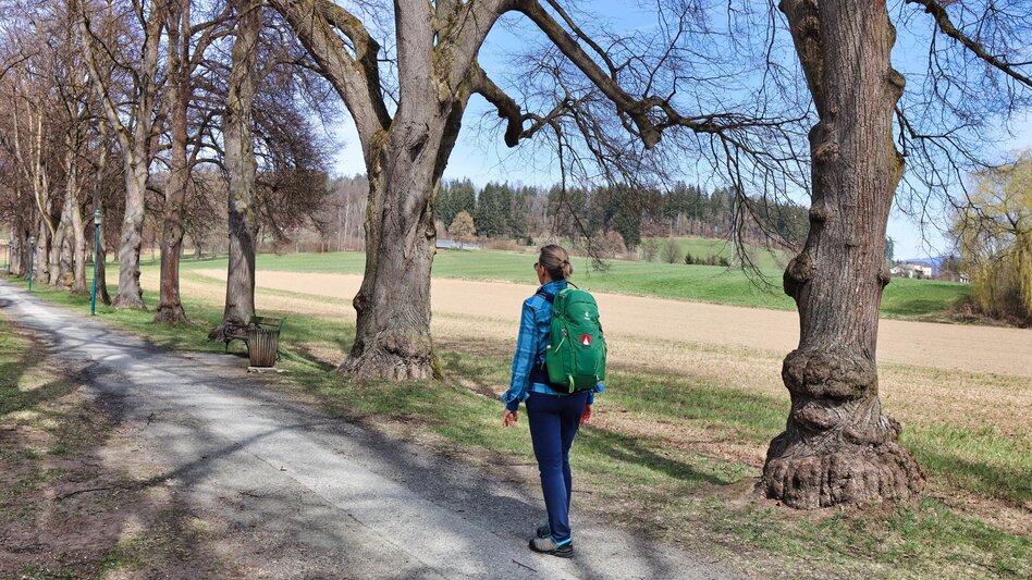 Wanderung Tremmelberg "Turm im Gebirge" von Knittelfeld - Touren-Impression #2.4 | © Weges OG