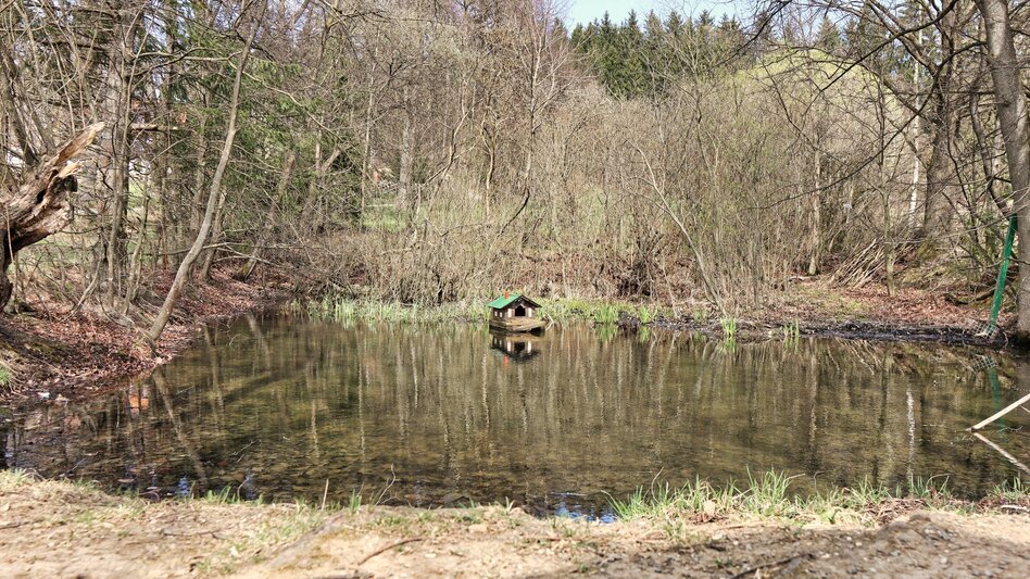 Wanderung Tremmelberg "Turm im Gebirge" von Knittelfeld - Touren-Impression #2.6 | © Weges OG