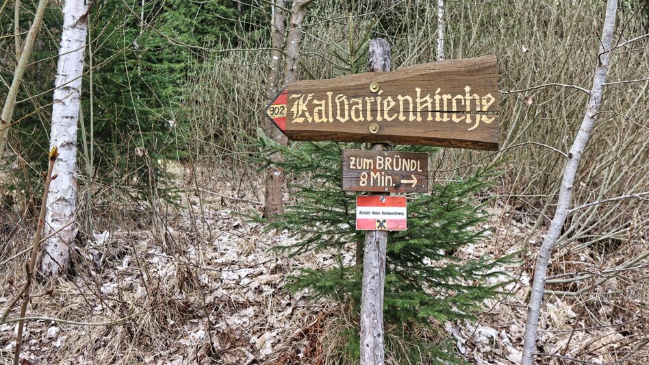 Wanderung Tremmelberg "Turm im Gebirge" von Knittelfeld - Touren-Impression #2.7 | © Weges OG