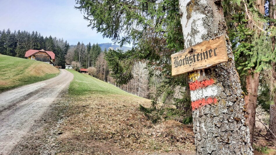 Wanderung Tremmelberg "Turm im Gebirge" von Knittelfeld - Touren-Impression #2.8 | © Weges OG