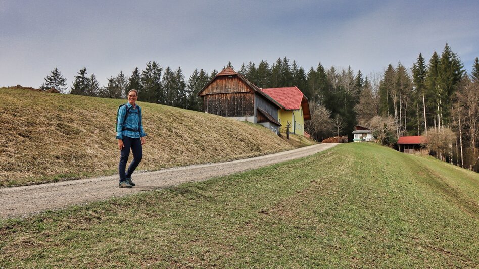 Wanderung Tremmelberg "Turm im Gebirge" von Knittelfeld - Touren-Impression #2.9 | © Weges OG