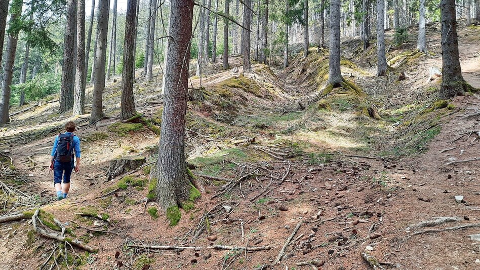 Wanderung Tremmelberg "Turm im Gebirge" von Knittelfeld - Touren-Impression #2.10 | © Weges OG