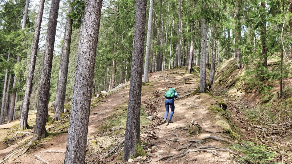 Wanderung Tremmelberg "Turm im Gebirge" von Knittelfeld - Touren-Impression #2.11 | © Weges OG