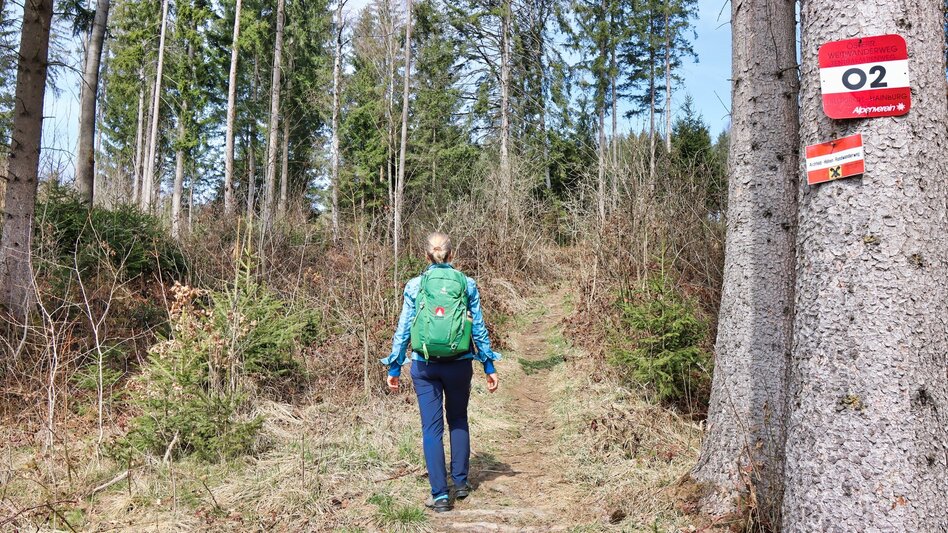 Wanderung Tremmelberg "Turm im Gebirge" von Knittelfeld - Touren-Impression #2.12 | © Weges OG