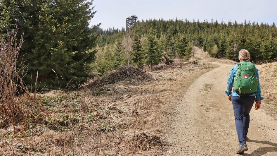 Wanderung Tremmelberg "Turm im Gebirge" von Knittelfeld - Touren-Impression #2.14 | © Weges OG