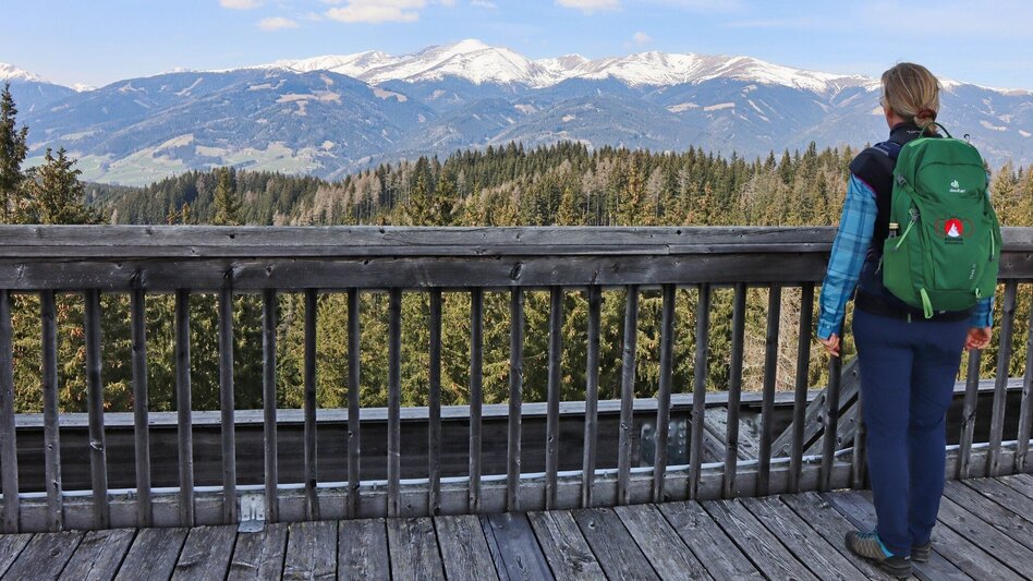 Wanderung Tremmelberg "Turm im Gebirge" von Knittelfeld - Touren-Impression #2.16 | © Weges OG